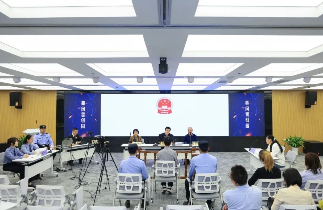 巡回审判，软件破解行为的法律解读与探讨