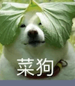 曾经的热门搞机社区变迁，黑丝美腿成主流焦点
