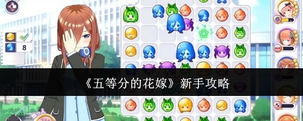 五等分的花嫁新手攻略大全
