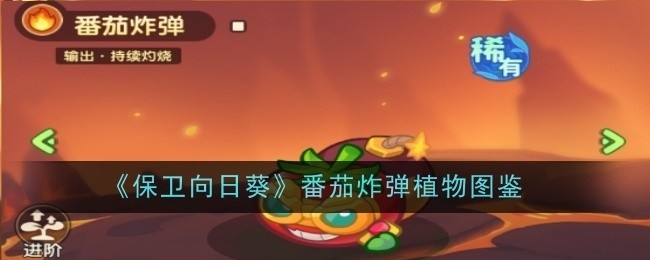 保卫向日葵之番茄炸弹植物大解密